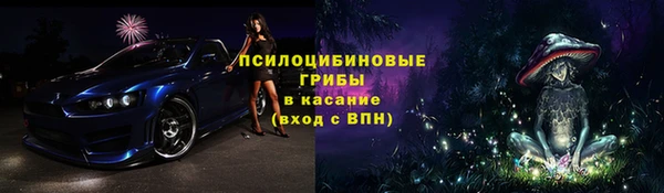 прущая мука Белокуриха