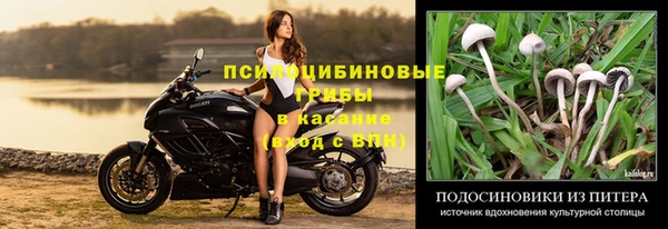 прущая мука Белокуриха